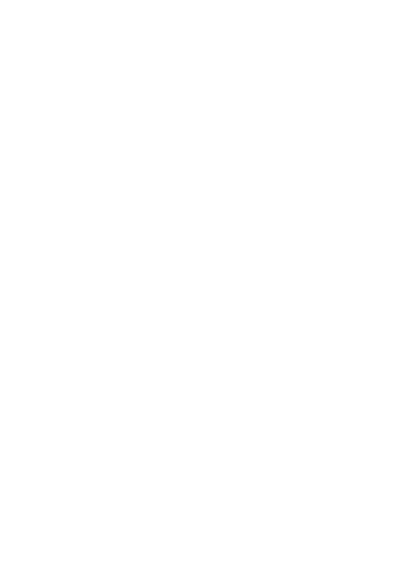 Lenau-Licht 2024